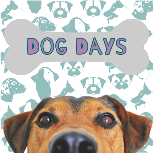 Aura Mist: Dog Days Travel Size