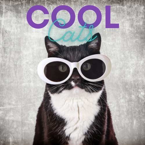 Body Oil: Cool Cats Travel Size